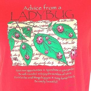 T-shirt short sleeve red graphic print ladybug crew neck L